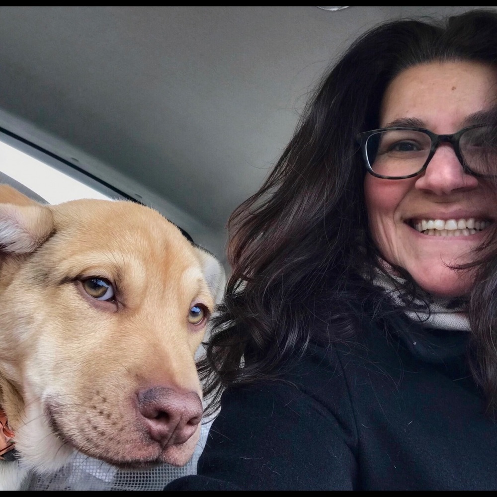 Meet your Posher, Happie